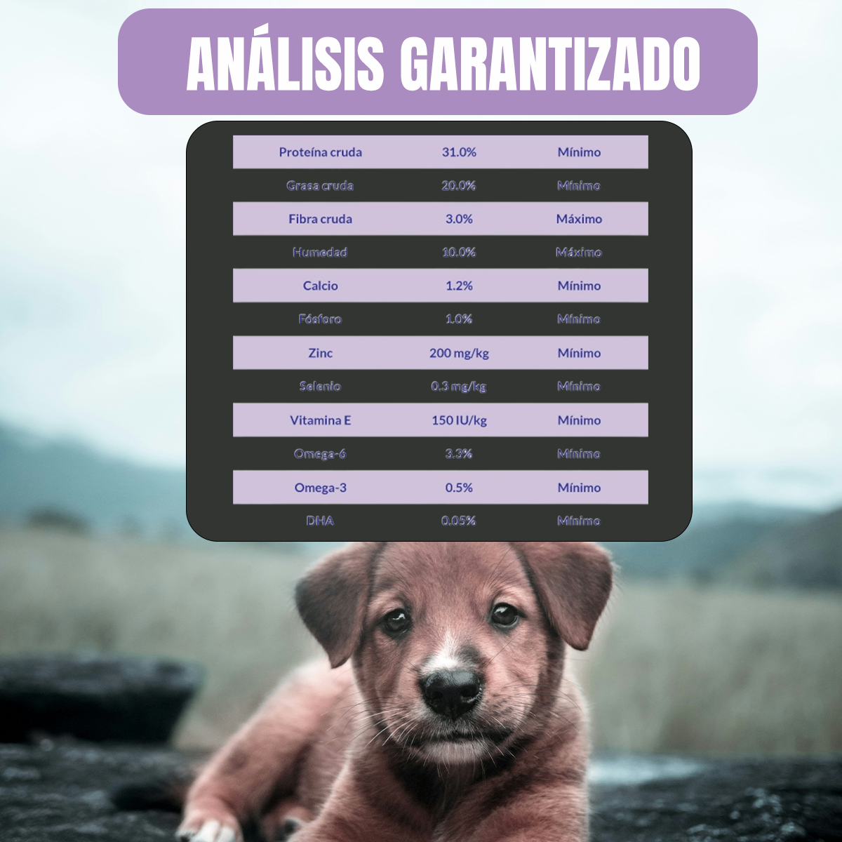PAQUETE 24 SOBRES DE 85G PROPLAN GATO ADULTO POLLO + REGALO
