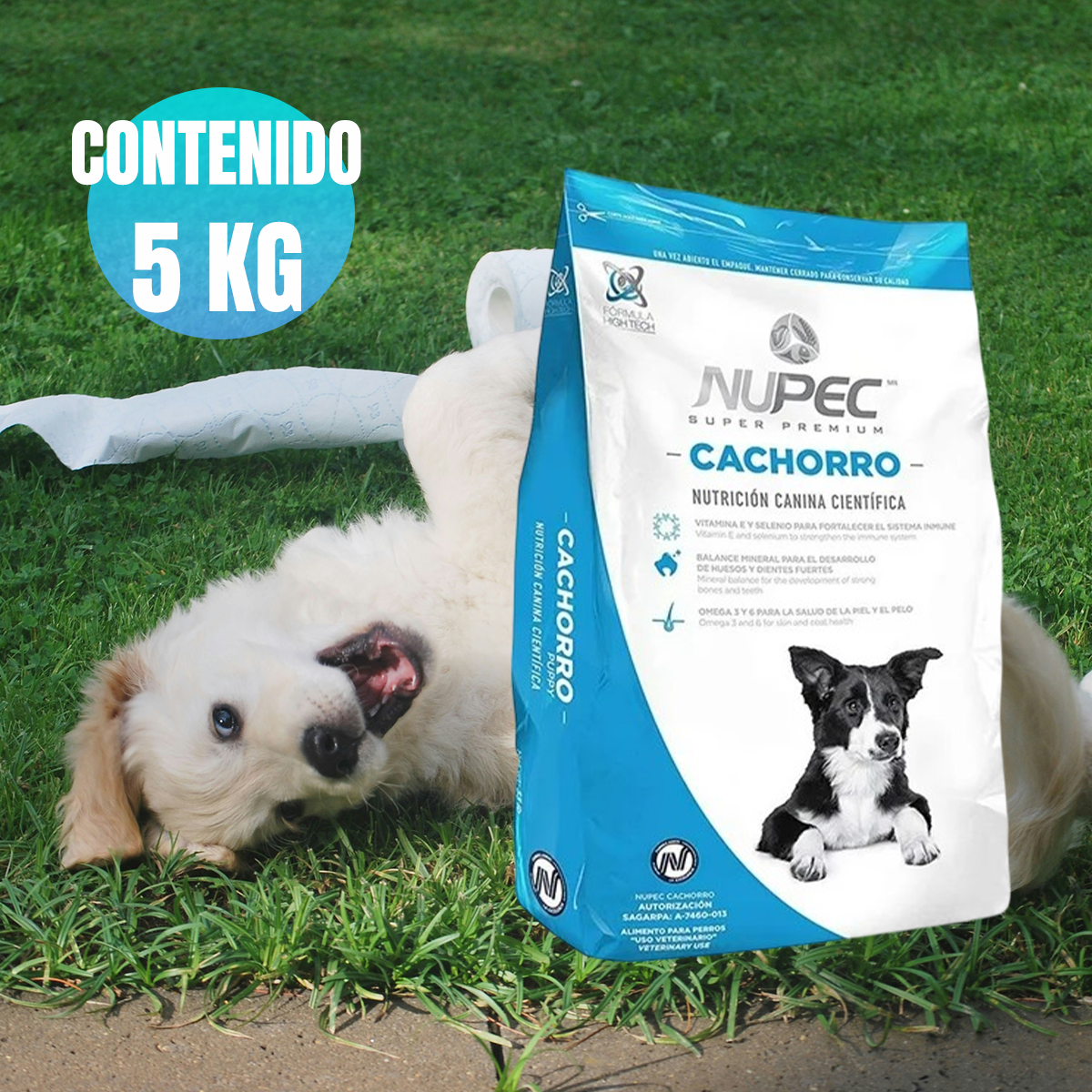 NUPEC CACHORRO