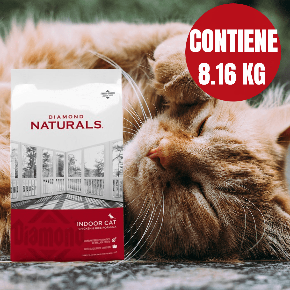 Alimento para Gato Diamond Naturals Indoor Cat 8.16kg+Regalo - FridaPets - Gato - Alimento - Seco - DIAMOND