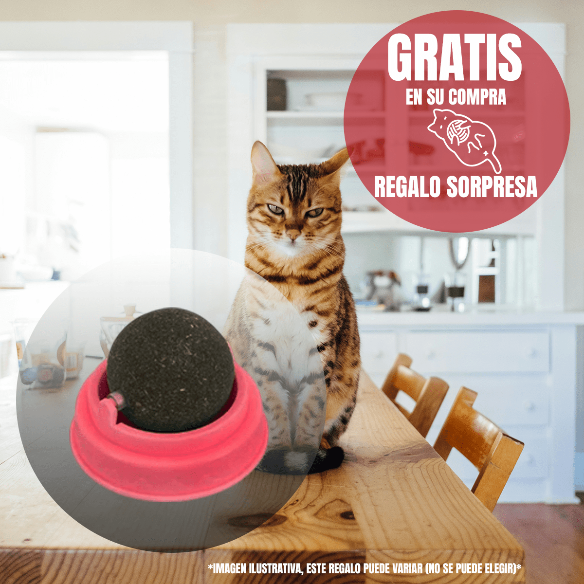 Alimento para Gato Diamond Naturals Indoor Cat 8.16kg+Regalo - FridaPets - Gato - Alimento - Seco - DIAMOND