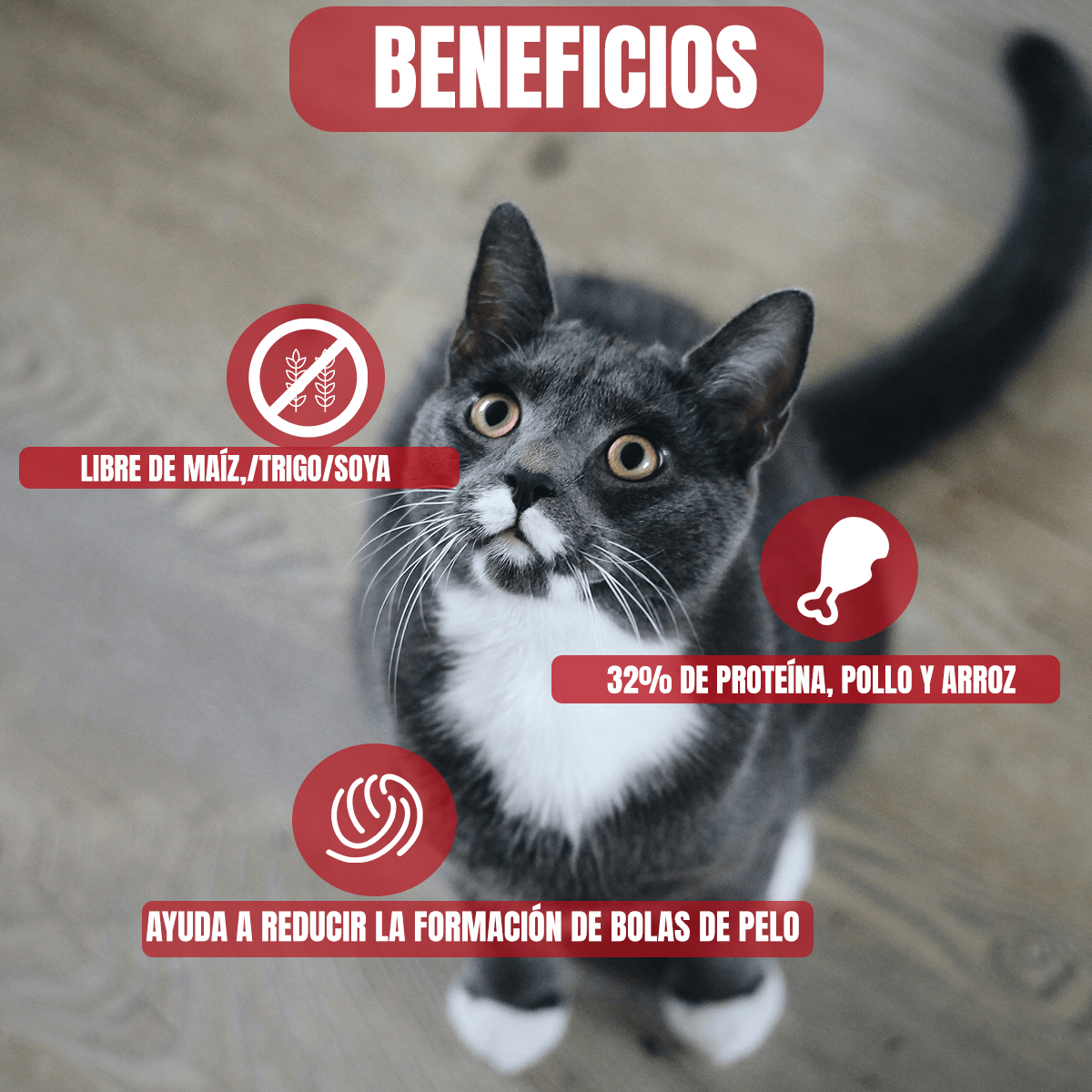 Alimento para Gato Diamond Naturals Indoor Cat 8.16kg+Regalo - FridaPets - Gato - Alimento - Seco - DIAMOND