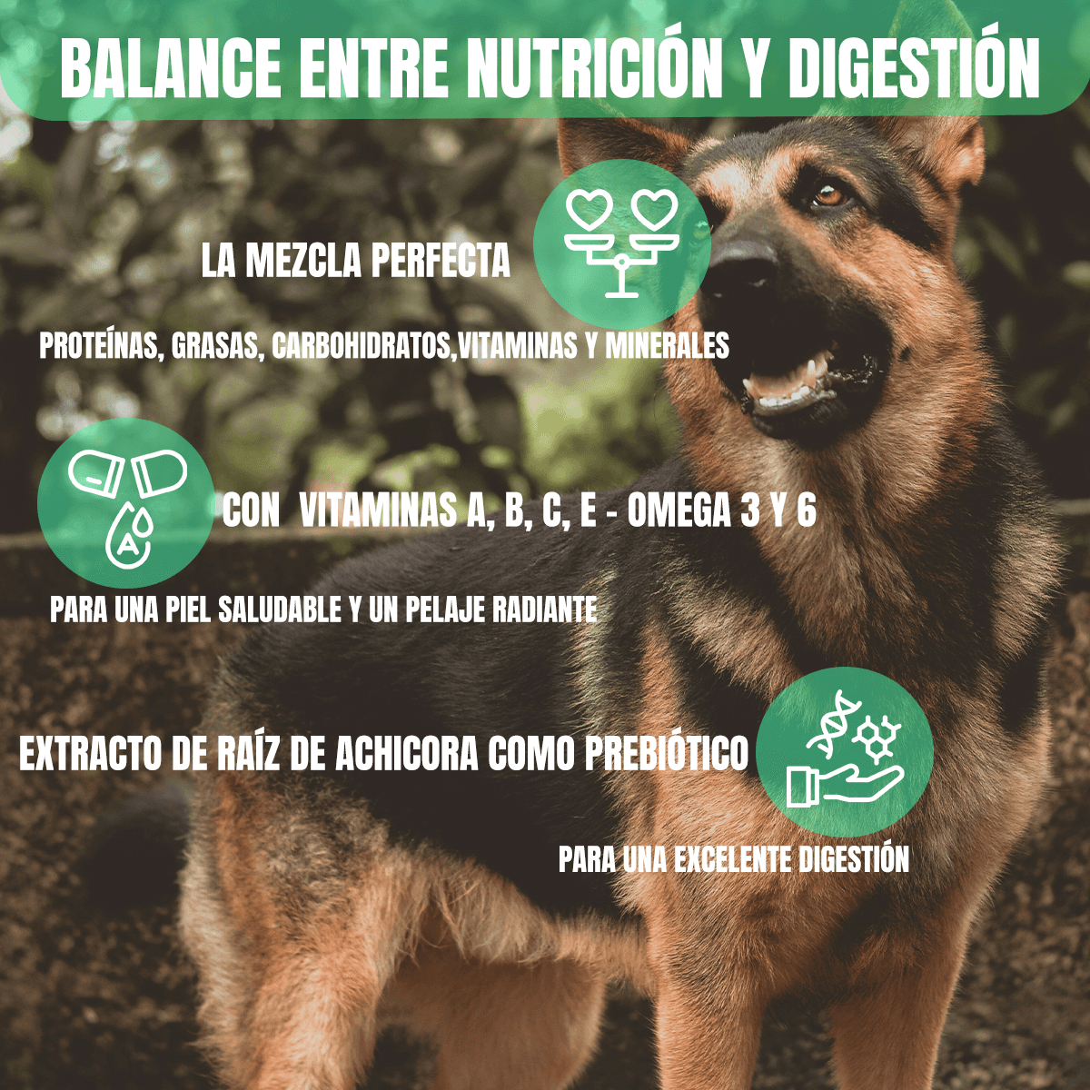 Croquetas Nupec Adulto 20kg+ 8 Huesos Carnaza Frida Naturals - FridaPets - Perro - Alimento - Seco - Nupec