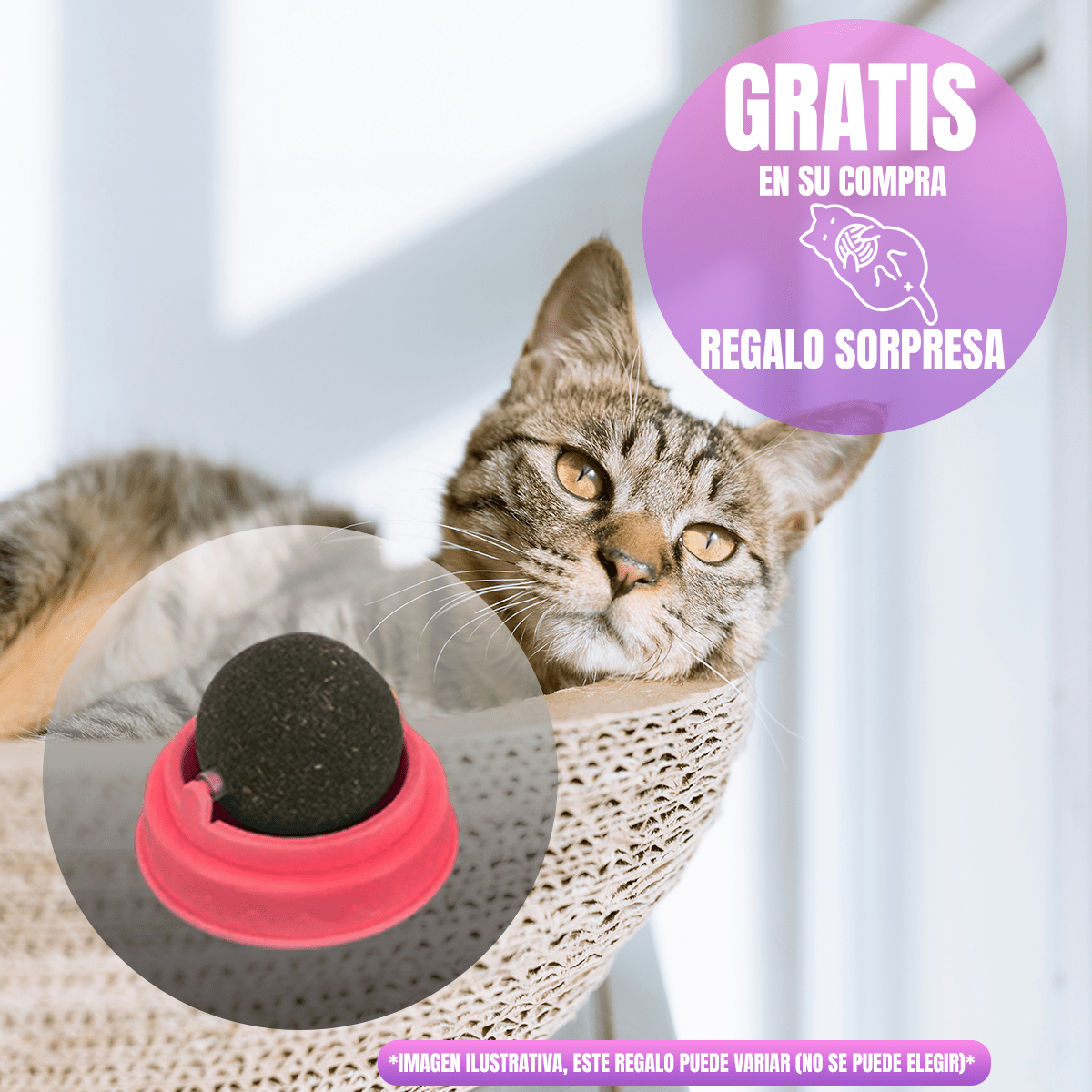 Croquetas para Gato Diamond Maintenance Cat 18.14 kg Con Regalo - FridaPets - Gato - Alimento - Seco - DIAMOND