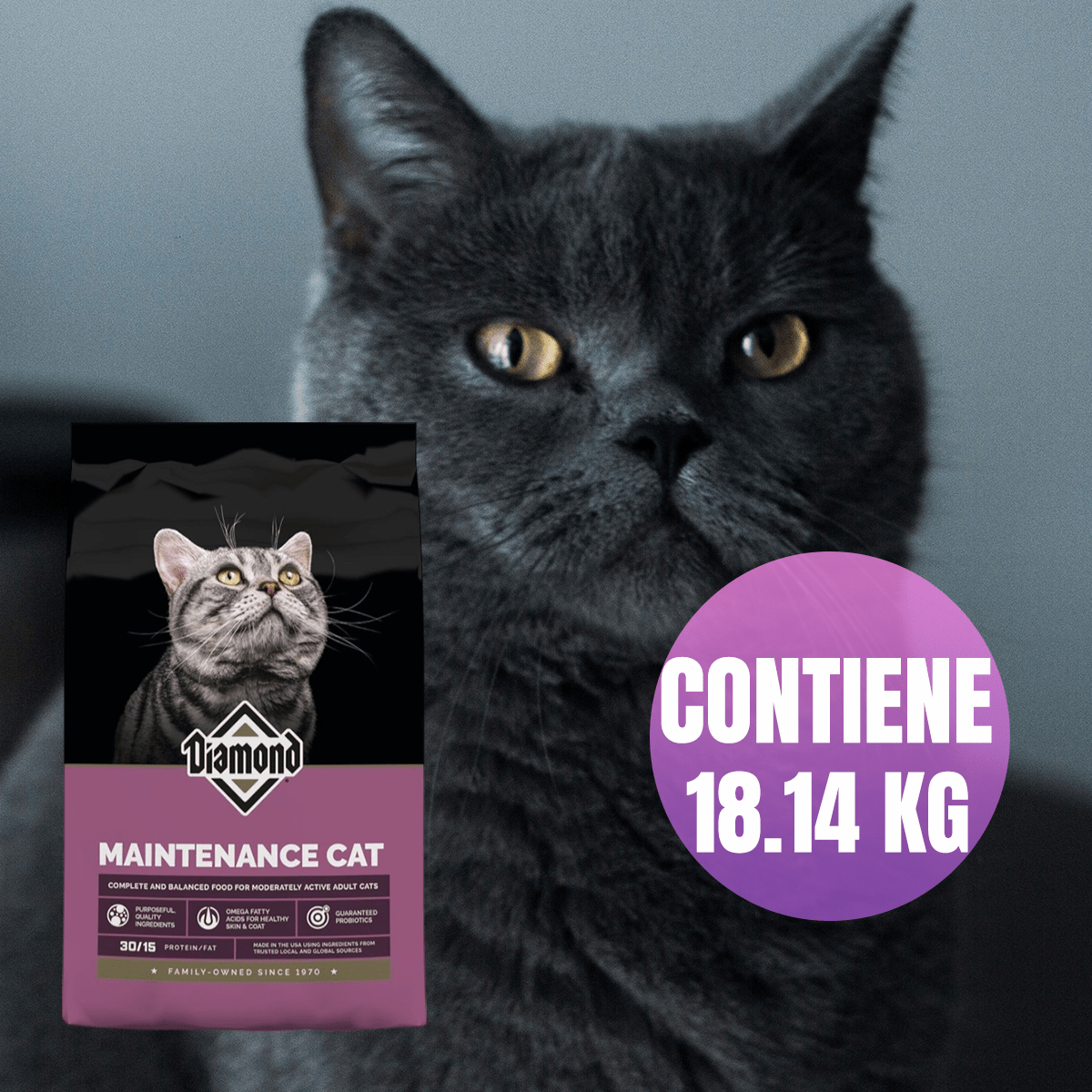 Croquetas para Gato Diamond Maintenance Cat 18.14 kg Con Regalo - FridaPets - Gato - Alimento - Seco - DIAMOND