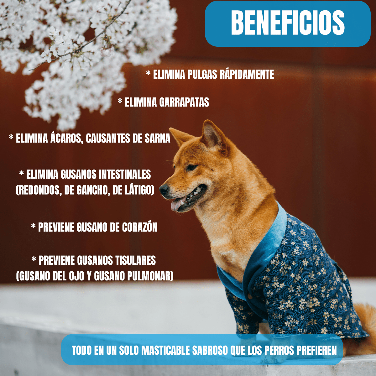 NEXGARD SPECTRA (3 TABLETAS) - FridaPets - Perro - Salud y bienestar - Nexgard