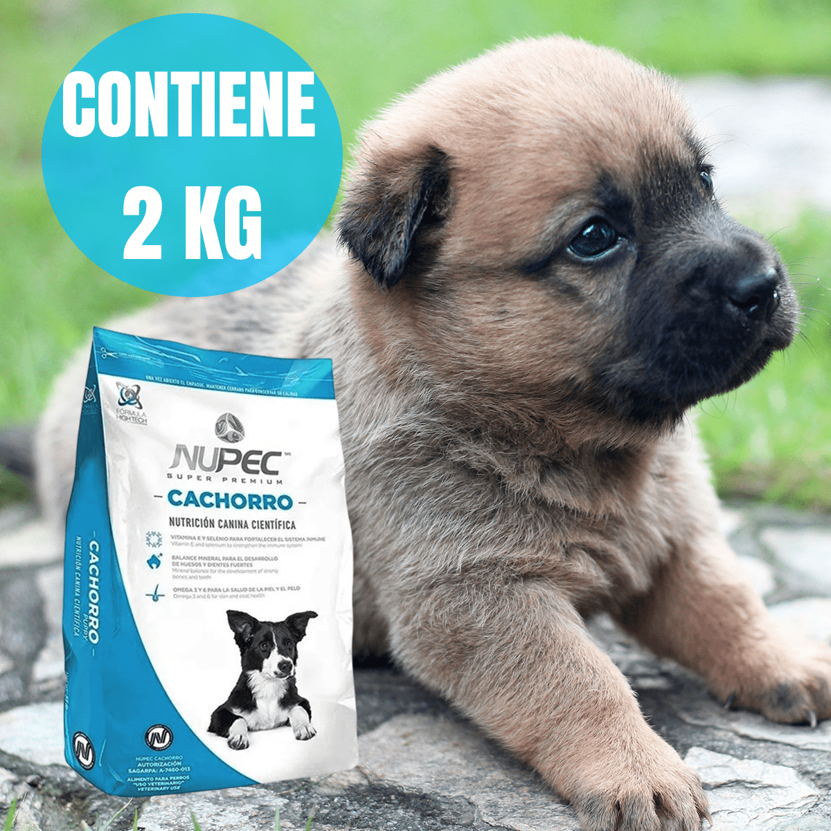 NUPEC CACHORRO - FridaPets - Perro - Alimento - Seco - Nupec