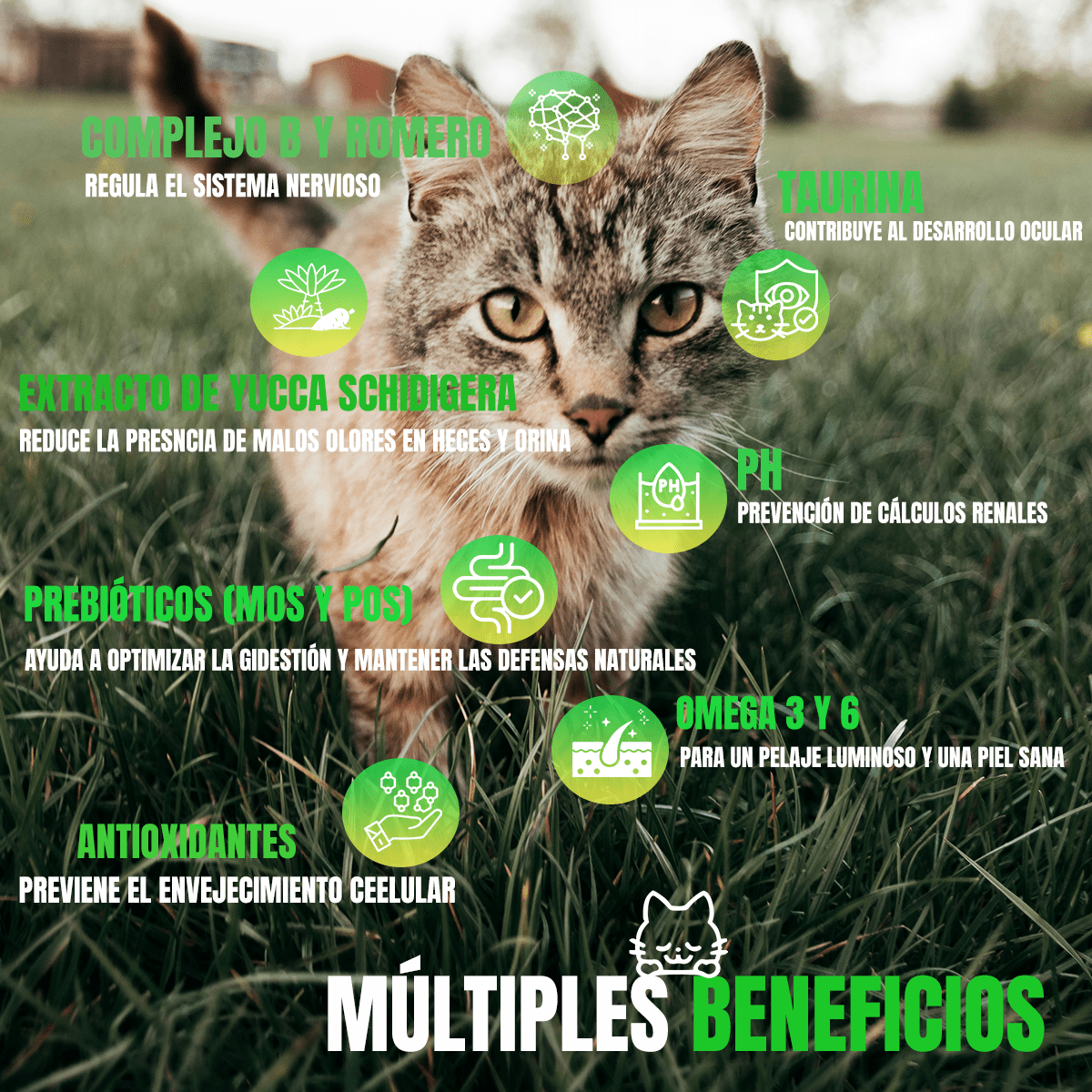 Nupec Indoor gato adulto 5kg + Regalo bola catnip - FridaPets - Gato - Alimento - Seco - Nupec