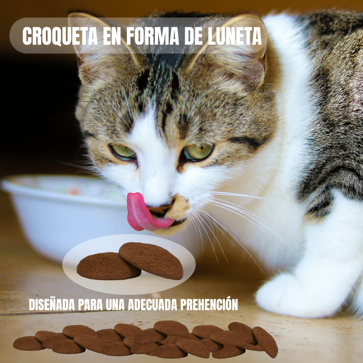 Nupec Indoor gato adulto 5kg + Regalo bola catnip - FridaPets - Gato - Alimento - Seco - Nupec