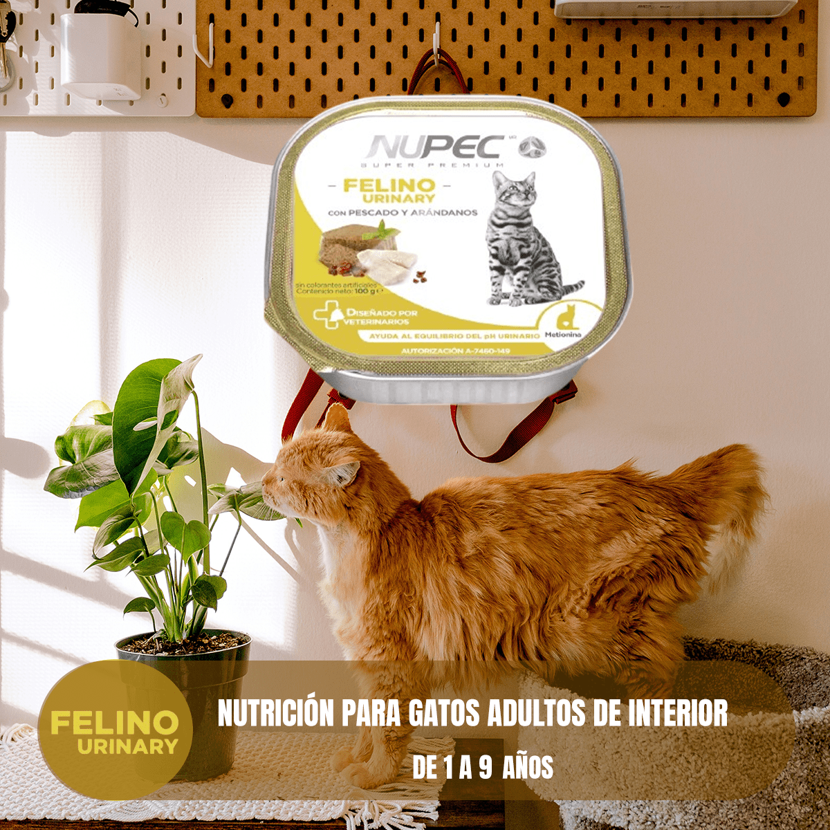 Pack Nupec Gato 30 Latas 15 Urinary & 15 Hairball + Regalo - FridaPets - Gato - Alimento - Húmedo - Nupec