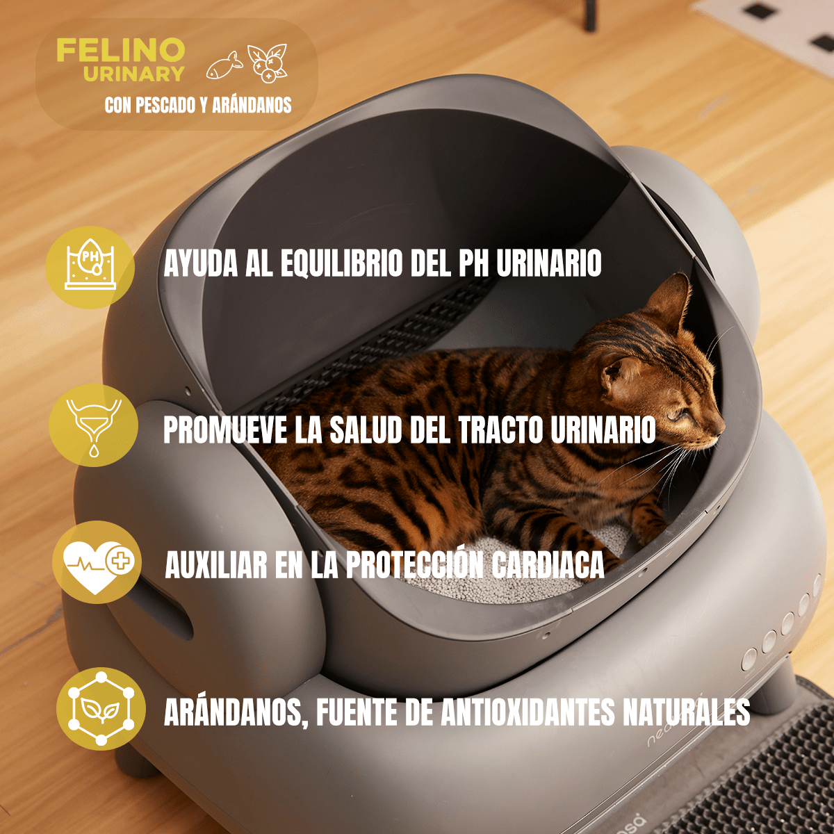 Pack Nupec Gato 30 Latas 15 Urinary & 15 Hairball + Regalo - FridaPets - Gato - Alimento - Húmedo - Nupec