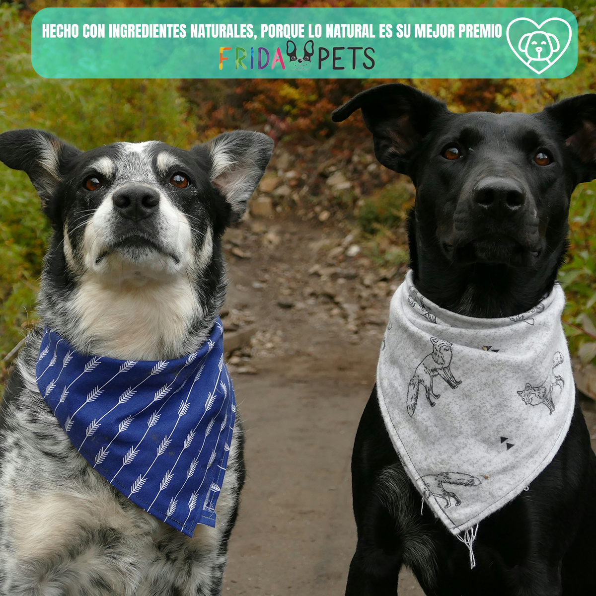 3 BOLSAS DE PULMON DE RES DESHIDRATADO PREMIOS PARA PERROS