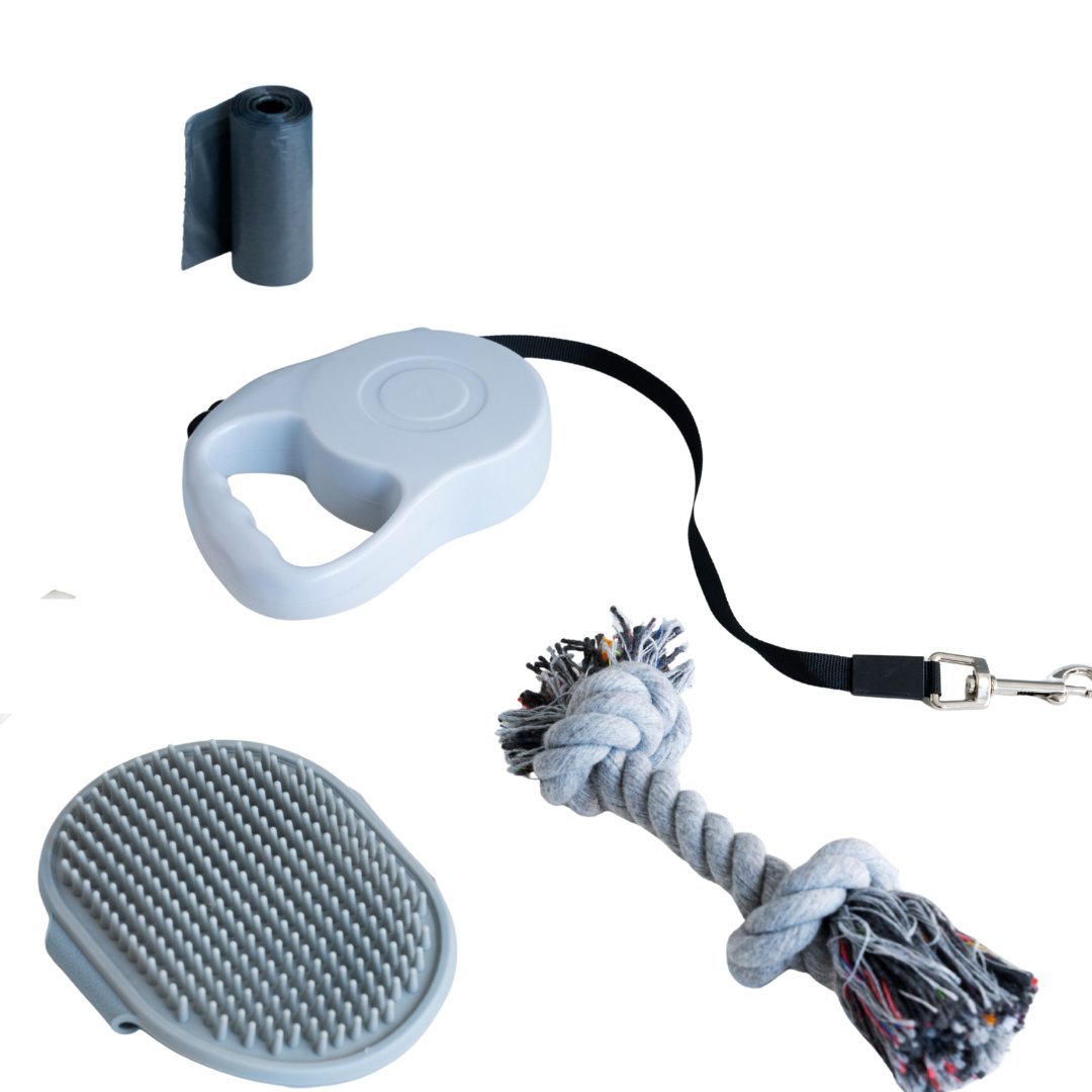 Accesorios - FridaPets