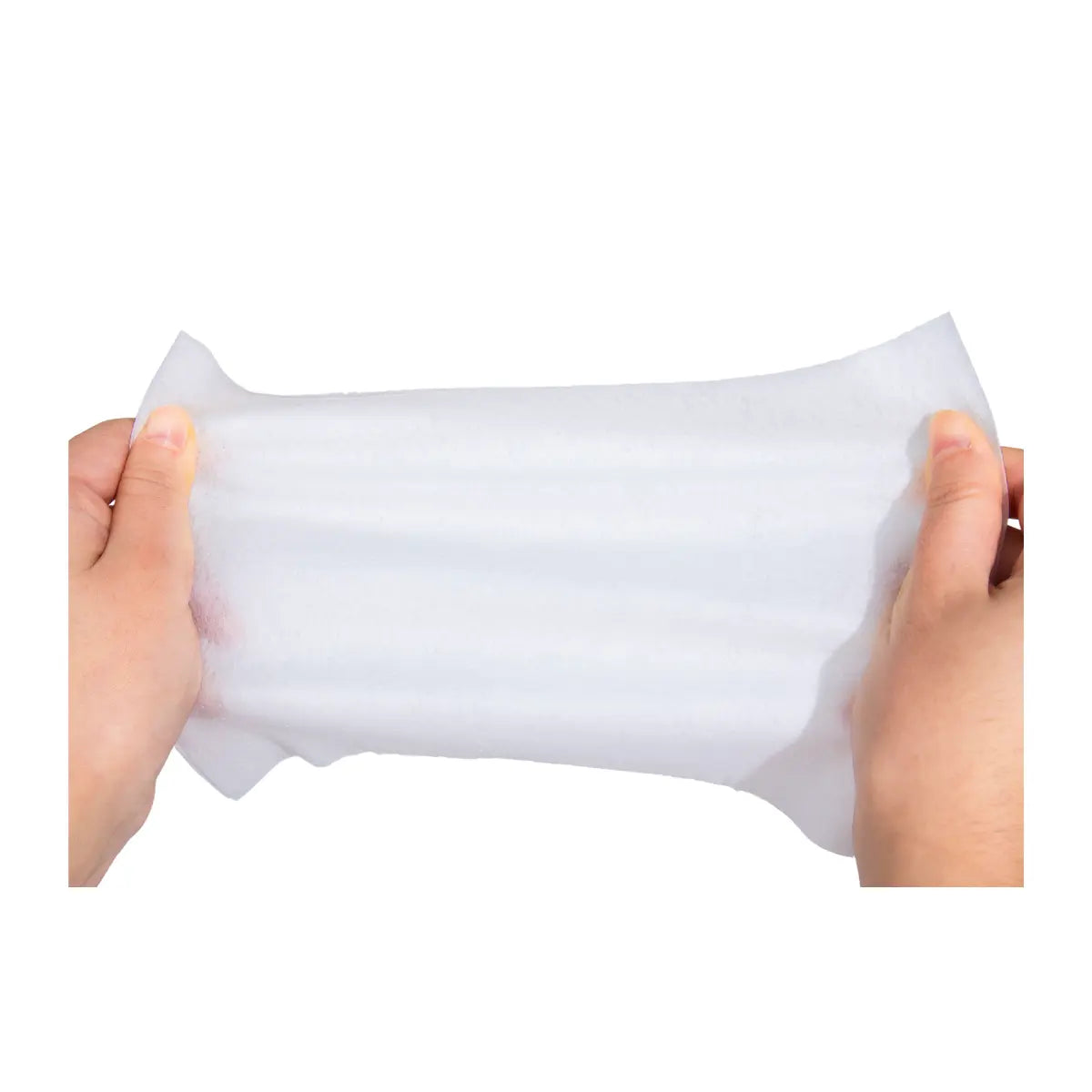 2 Pack 160 Toallitas Humedas + Premios Perro Frida Naturals Frida Wipes