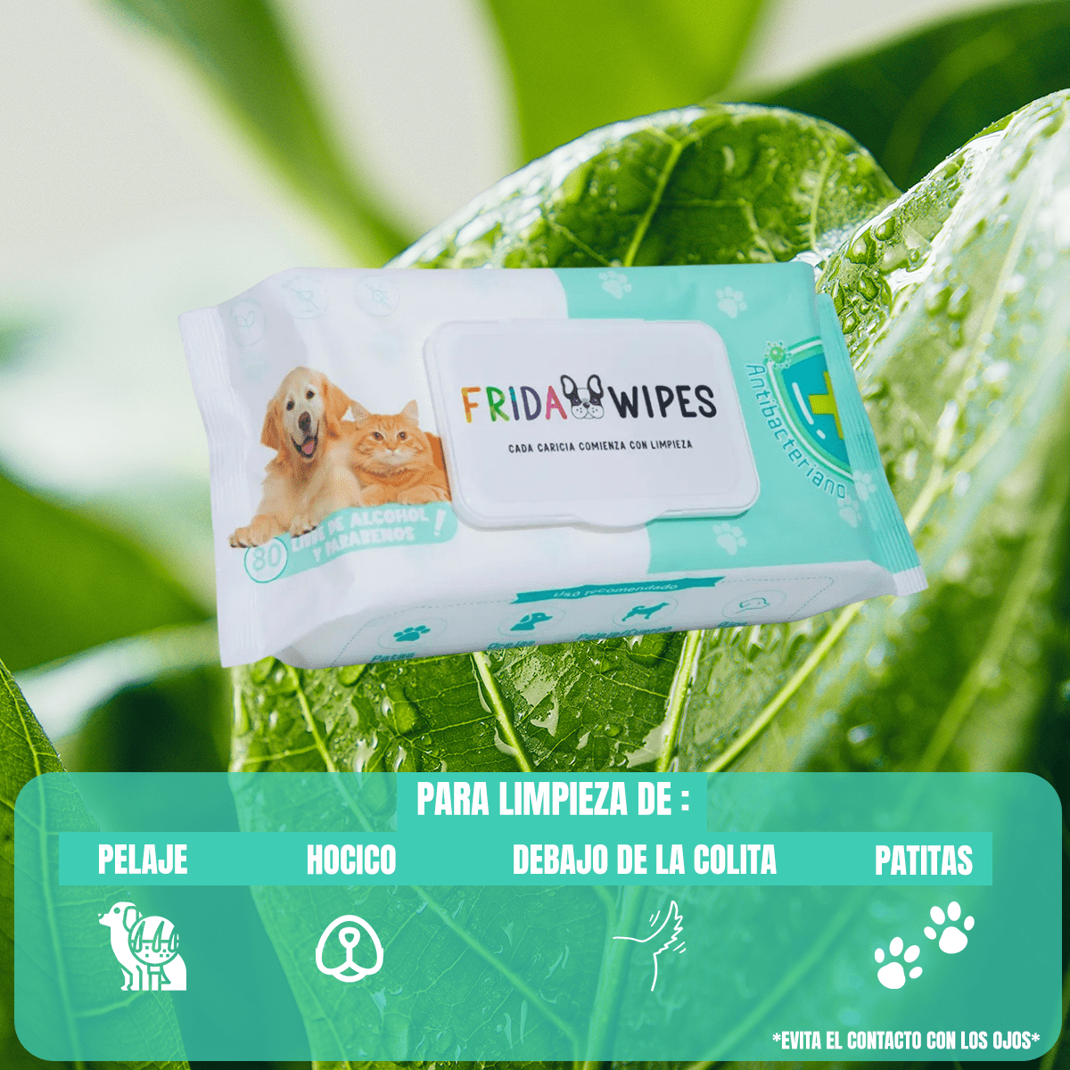 2 Pack 160 Toallitas Humedas Limpiadoras Pawsy Perros Gatos - FridaPets - Perro y gato - Accesorios - Frida Pets