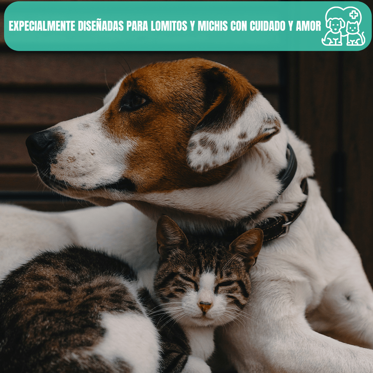 2 Pack 160 Toallitas Humedas Limpiadoras Pawsy Perros Gatos - FridaPets - Perro y gato - Accesorios - Frida Pets