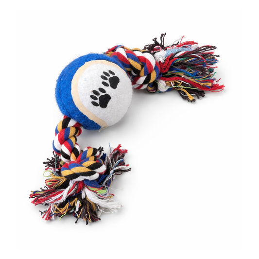 Mordedera con pelota azul y blanca y cuerda multicolor
