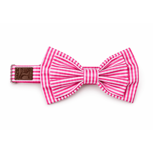 Collar Puppa rosa con moño de rayas blancas