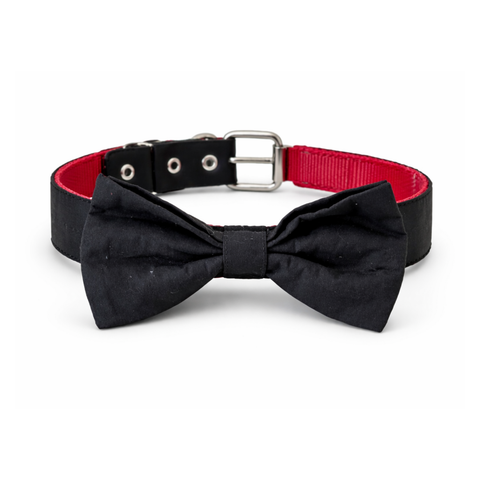 Collar bow tie