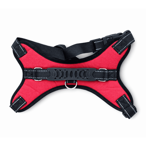 Pechera perro rojo