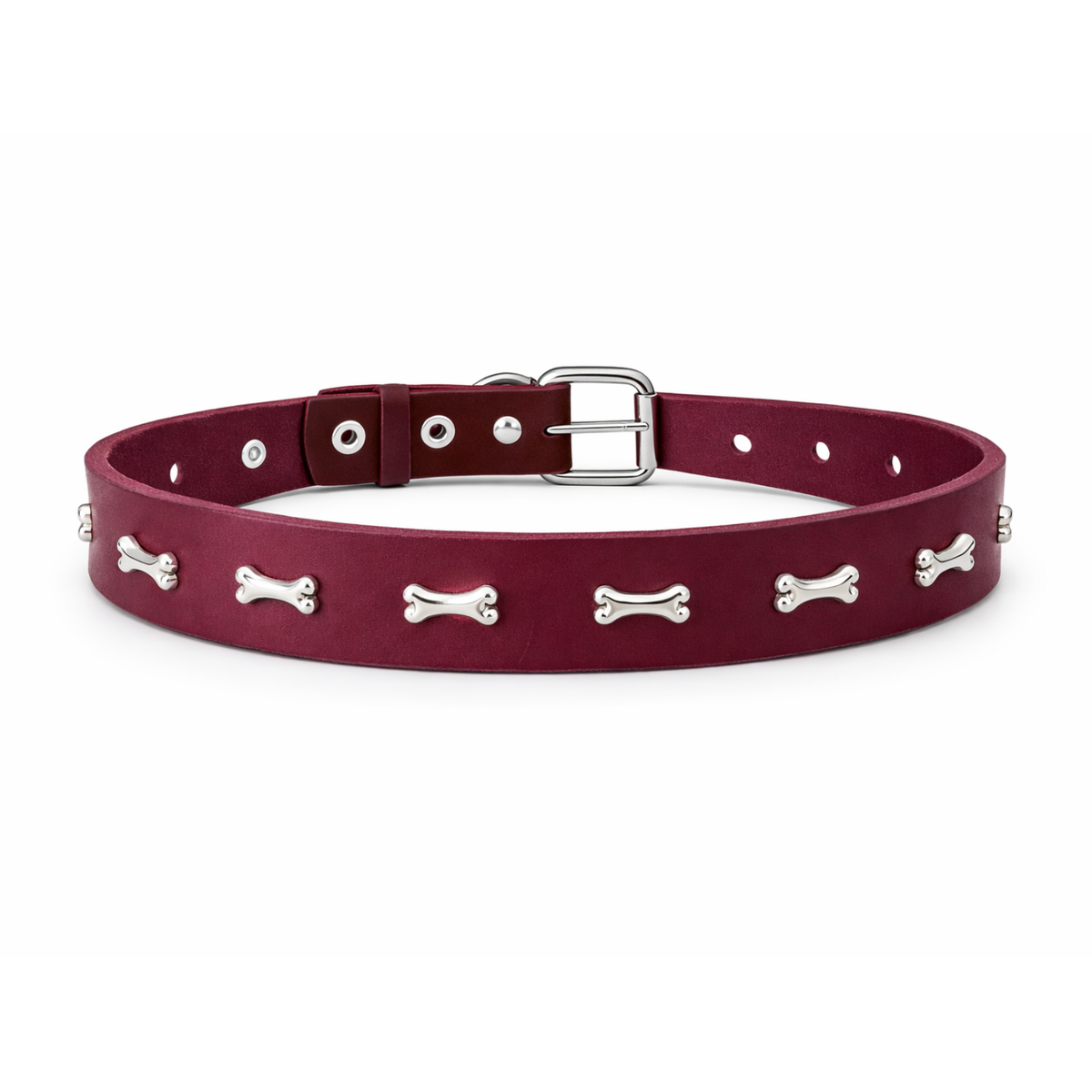 Collar color tinto con hebilla y aplicaciones plateadas de huesitos