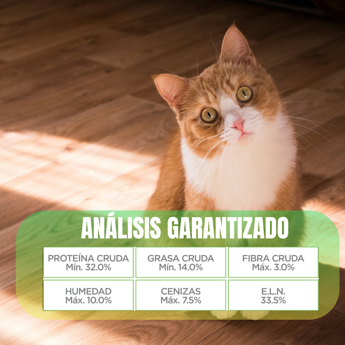 Nupec Indoor gato adulto 5kg + Regalo bola catnip