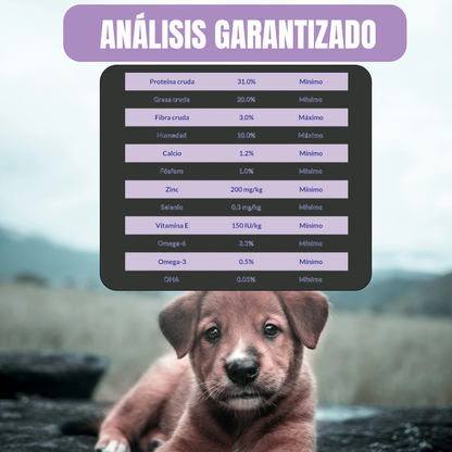 PAQUETE 24 SOBRES DE 85G PROPLAN GATO ADULTO POLLO + REGALO