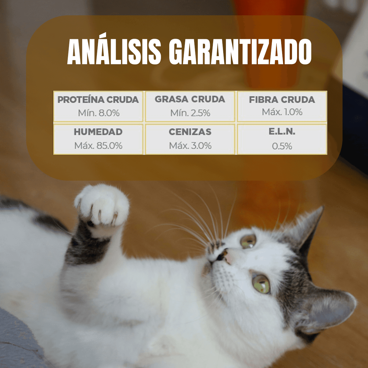 Paquete 20 latas gato Urinary alimento húmedo con regalo