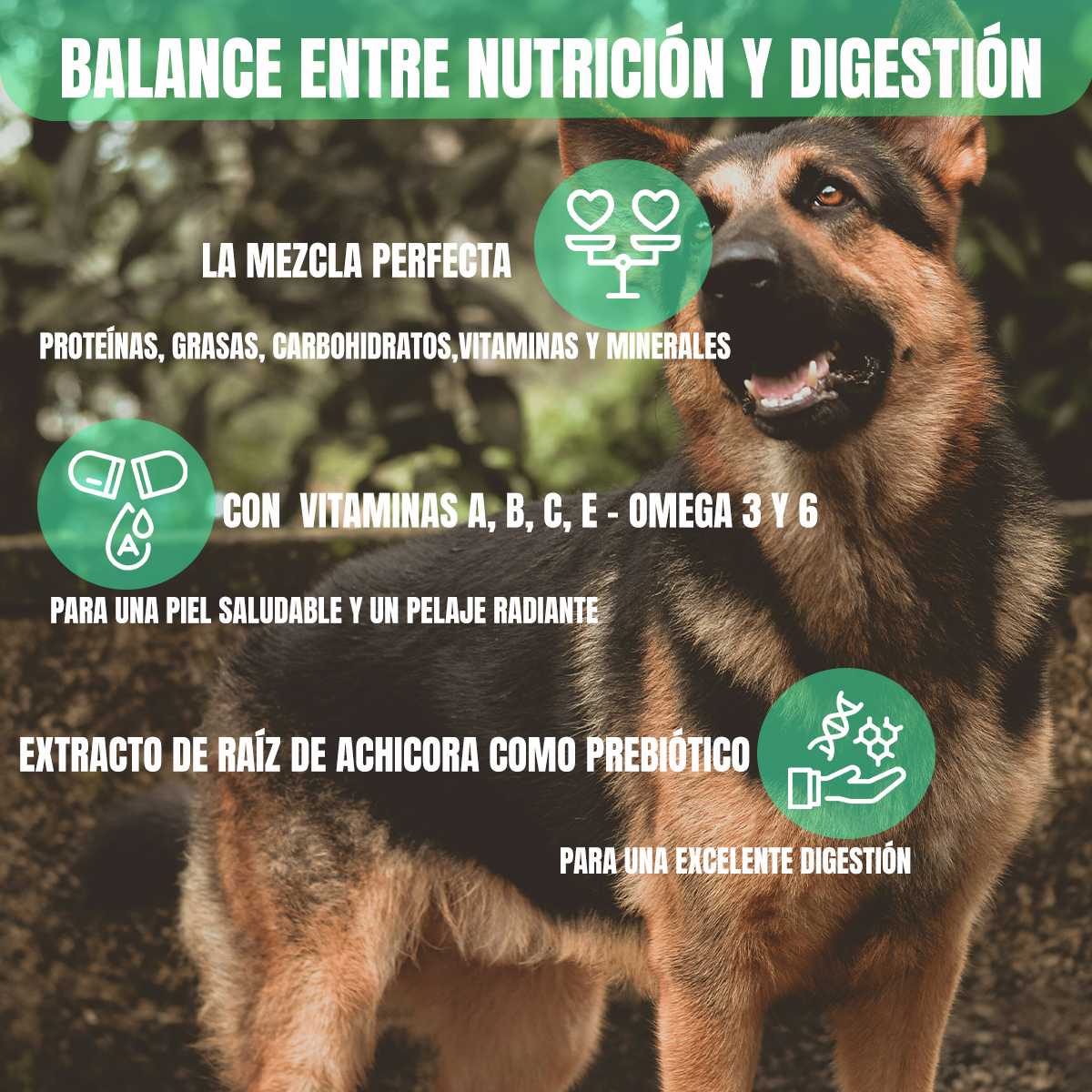 Croquetas Nupec adulto para perro