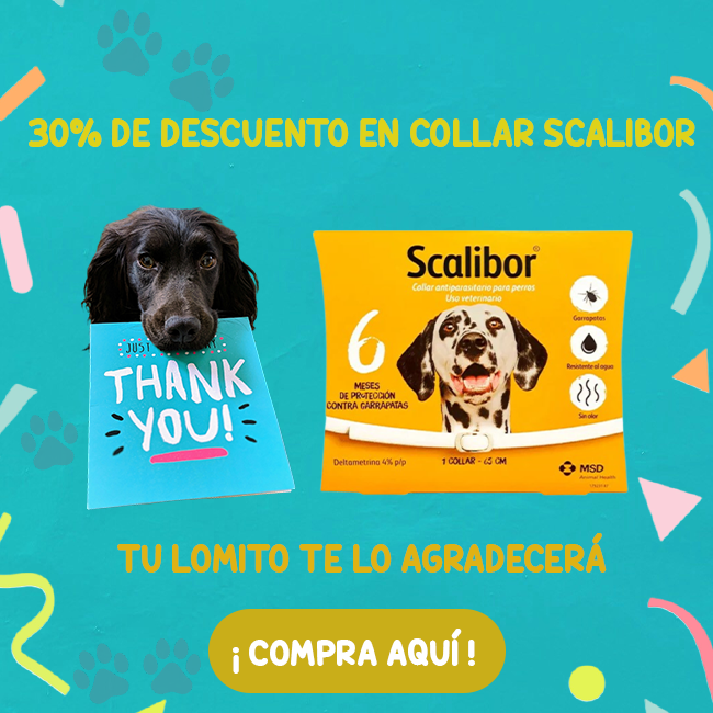 FridaPets