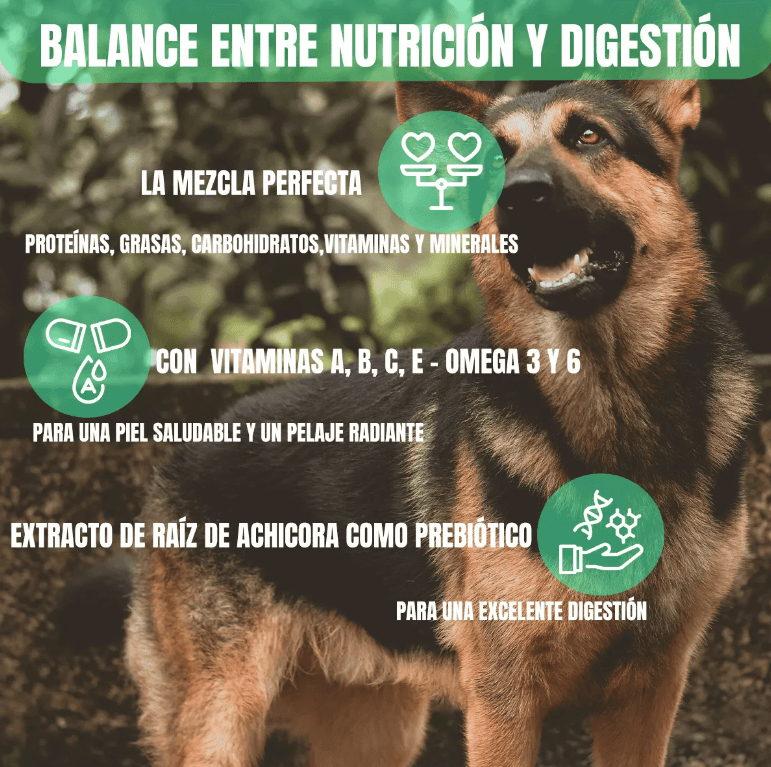 Nupec adulto 15 kg más productos línea Frida pets