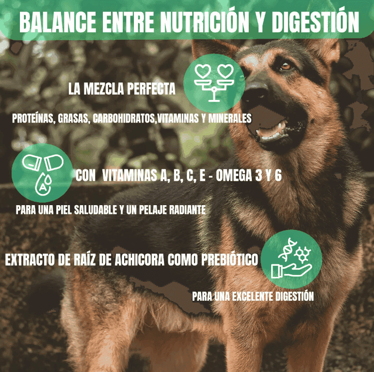 Nupec adulto 20 kg más productos línea Frida pets