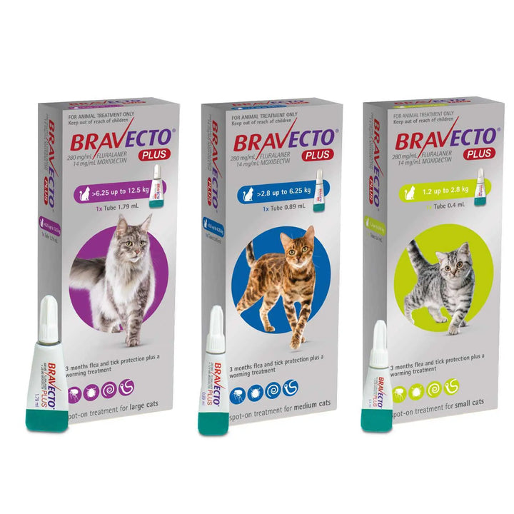Bravecto para Gatos