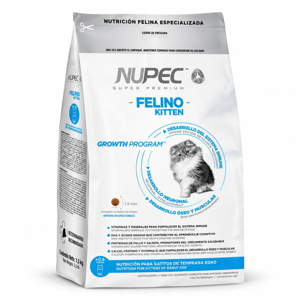 Nupec Felino Kitten