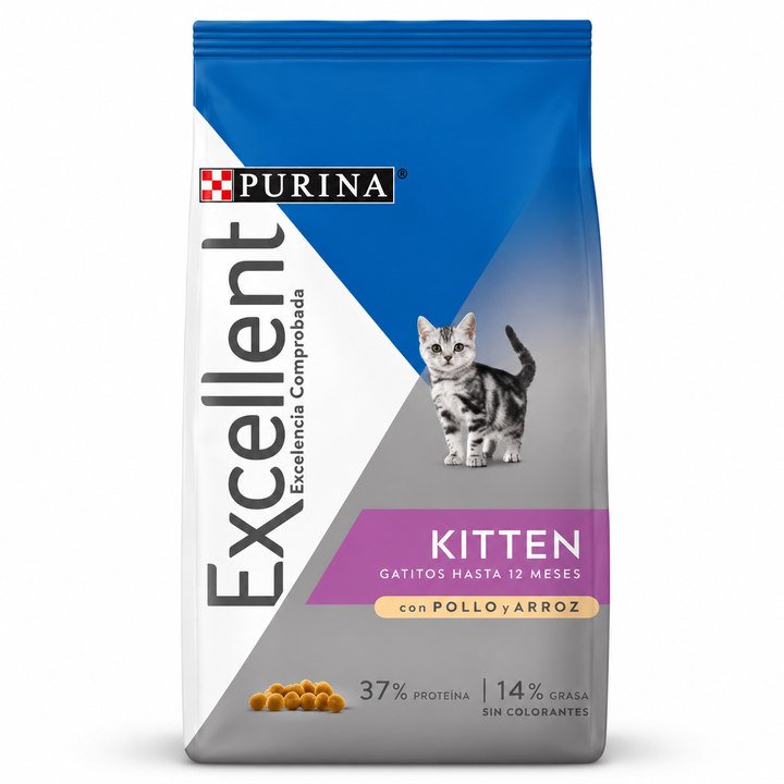 Excellent Kitten