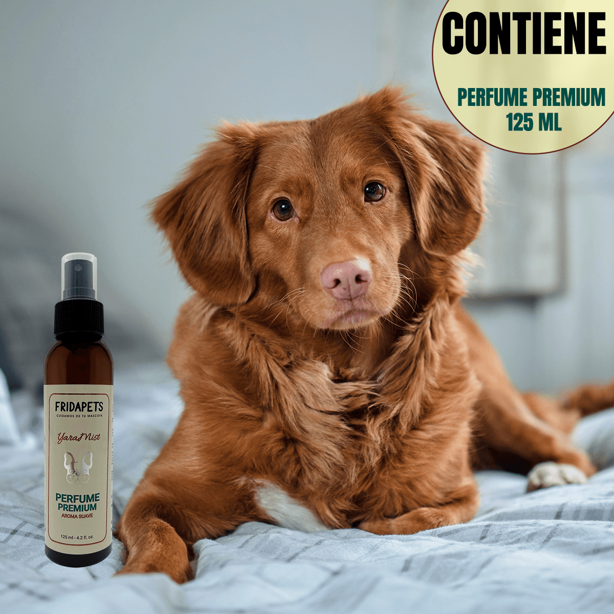 Nupec adulto 20 kg más productos línea Frida pets