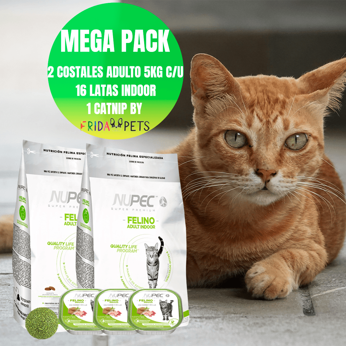 Pack 2 Nupec Gato Adulto Indoor 5kg cada uno con 16 latas de alimento húmedo y catnip Frida Naturals