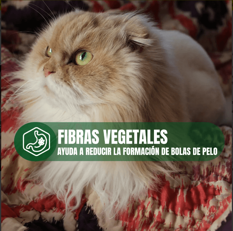 Pack Nupec 20 latas gato Hairball alimento húmedo con regalo