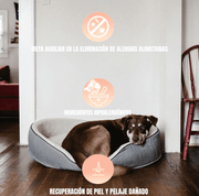 Perro descansando en una cama gris dentro de una habitación, con iconos color salmón superpuestos.