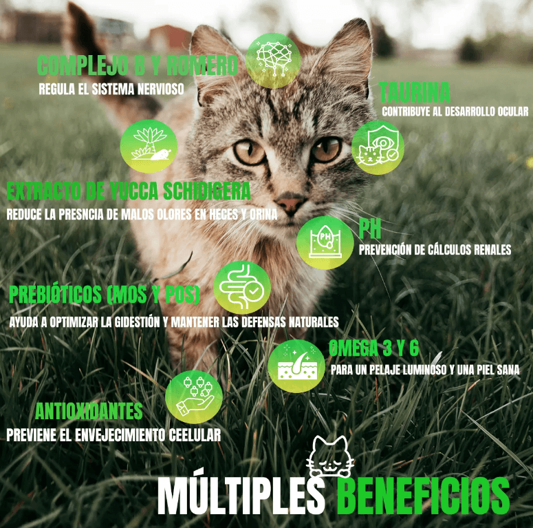 Pack 2 Nupec Gato Adulto Indoor 5kg cada uno con 16 latas de alimento húmedo y catnip Frida Naturals