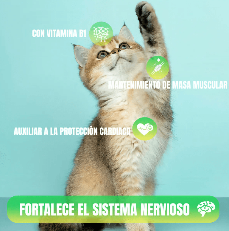 Pack 2 Nupec Gato Adulto Indoor 5kg Cada Uno con 16 Latas Alimento Húmedo Indoor y Catnip Frida Naturals