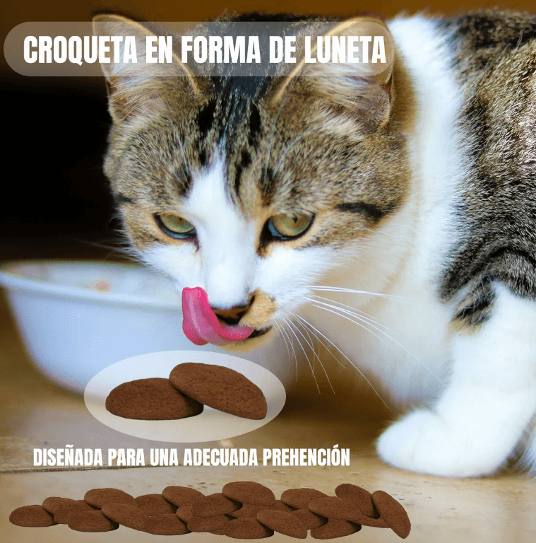 Pack 2 Nupec Gato Adulto Indoor 5kg cada uno con 16 latas alimento húmedo y Frida Wipes