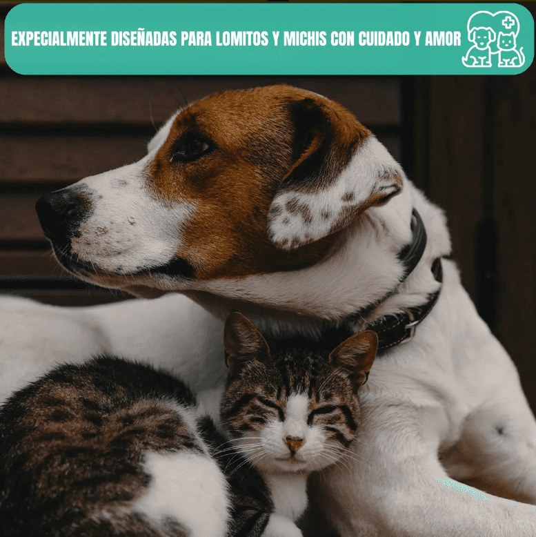 Nupec perro adulto 20kg con 16 latas alimento húmedo más Frida wipes