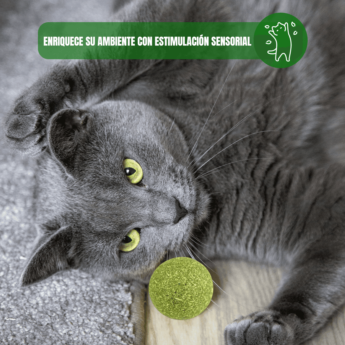 Pack 2 Nupec Gato Adulto Indoor 5kg cada uno con 16 latas de alimento húmedo y catnip Frida Naturals