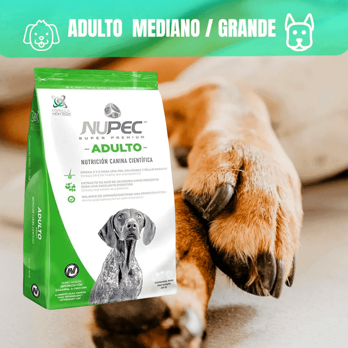 Nupec adulto 20 kg más productos línea Frida pets