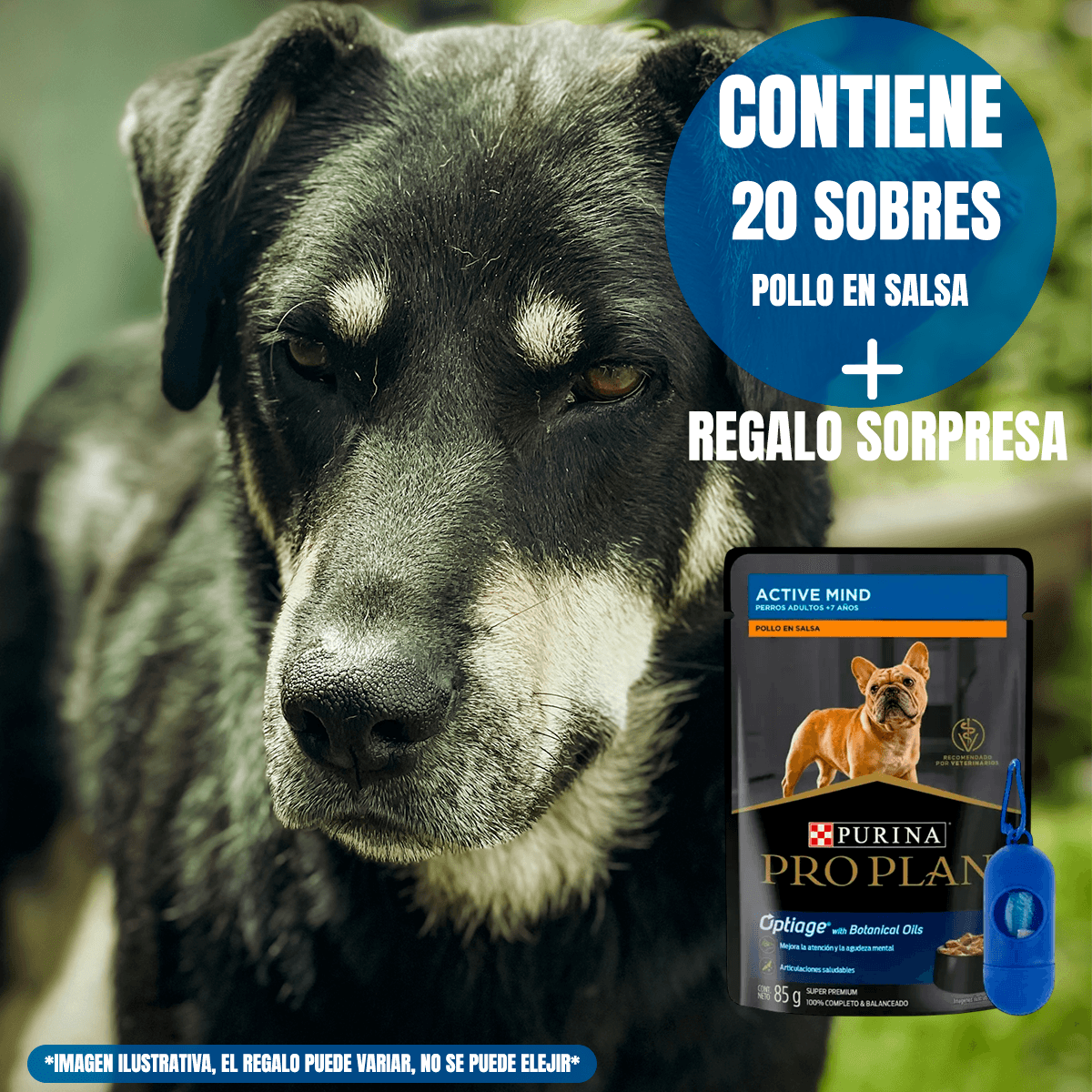 Pro Plan pouches perro senior 20 sobres con regalo