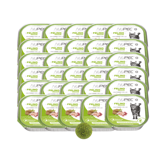 Conjunto de charolas NUPEC Felino Indoor en varias filas, con una pelota verde al frente.