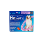 Caja de NexGard Spectra de una tableta, con franja morada para perros de 15.1 a 30 kg.