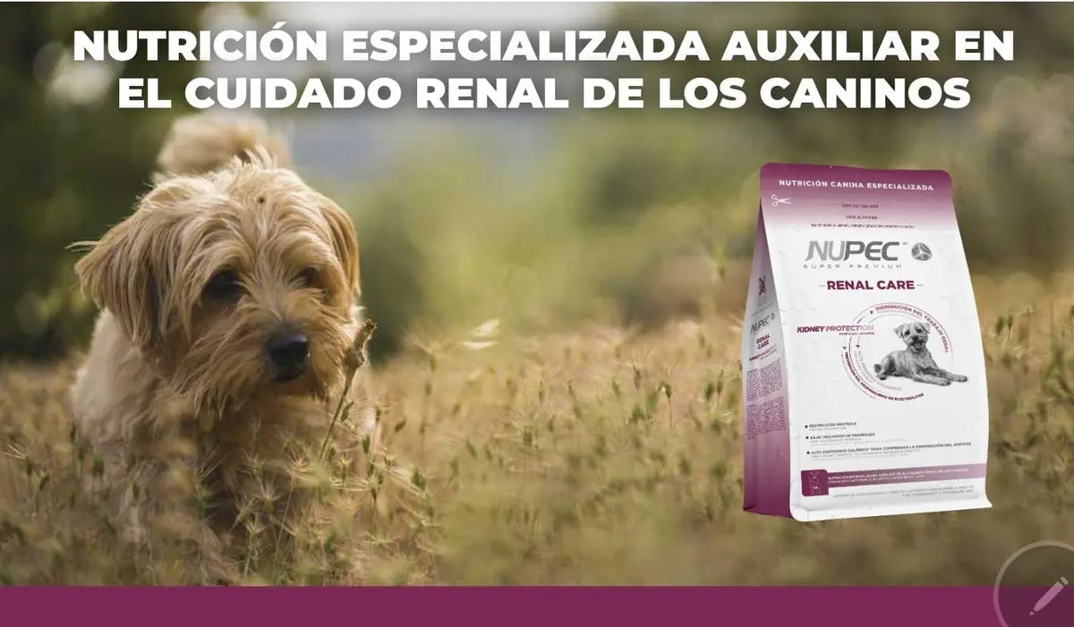 Paq 2 Nupec Renal Care 2kg Cuidado Renal + Regalo para Perro NUPEC