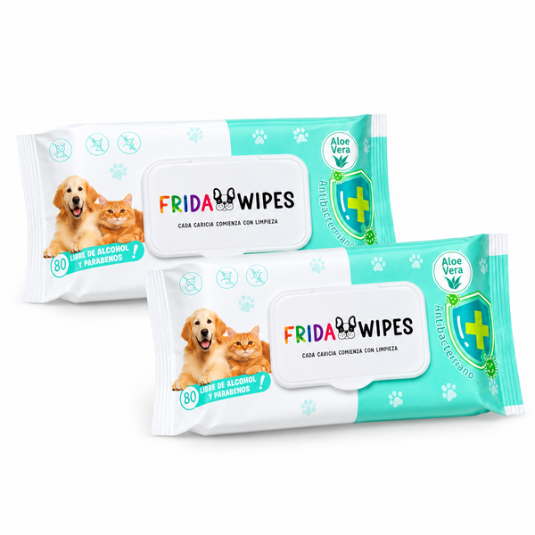 Frida Wipes Toallitas Húmedas Con Olor Aloe Vera