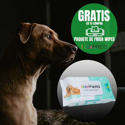 PAQUETE 24 SOBRES DE 85G PROPLAN GATO ADULTO POLLO + REGALO